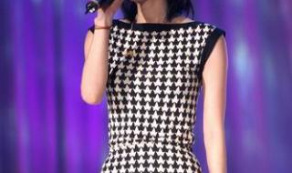 王菲台北演唱会 王菲台北演唱会