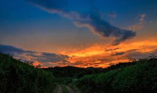 日落西山人哪首歌 日落西山红霞飞歌词