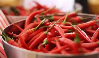 青椒辣度排行 世界上最辣的辣椒